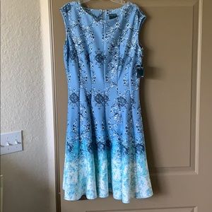 Pretty Blue Dress